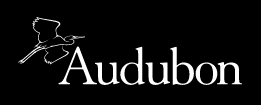 National Audubon Logo