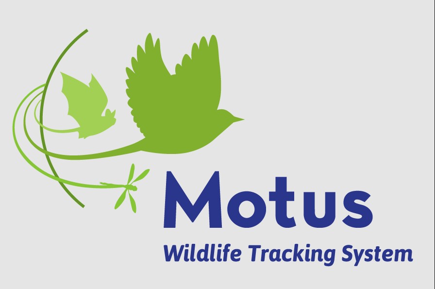 MotusLogo.jpg